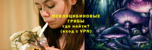 индика Абинск